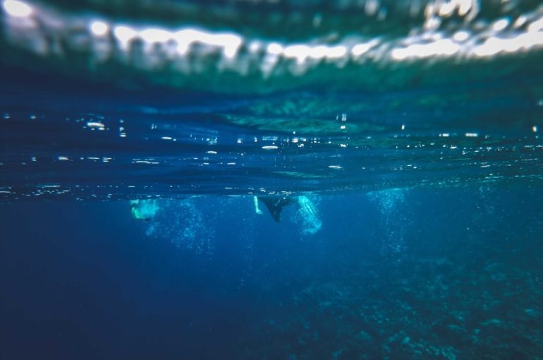 The Meaning of Festive Days: A Fresh Reflection on Diving at the Surface or in Depth